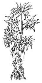 9687_32_Kewada