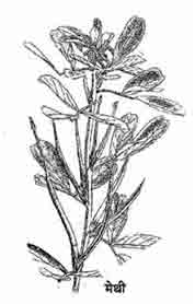 9829_35_Methi